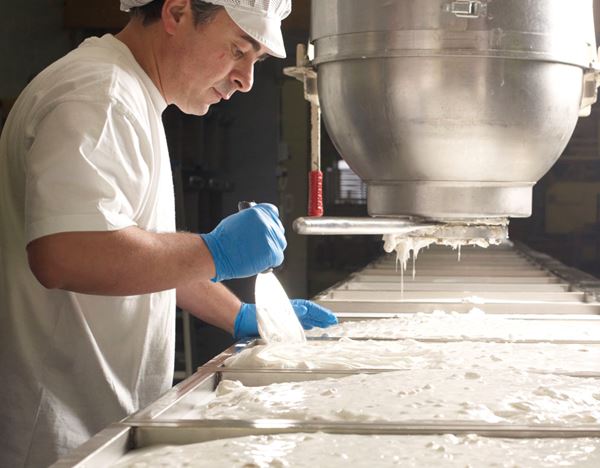 Nougat Vital - Emploi
